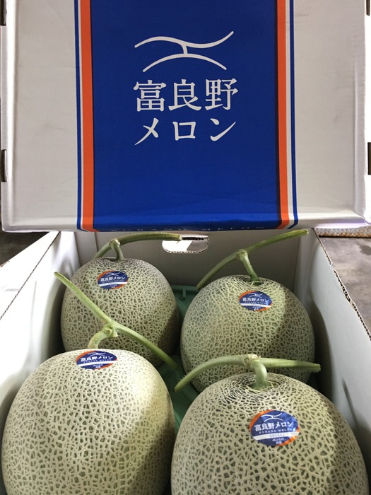 食品 専用 糖度19!! 「太陽の華」富良野メロン 2玉 品種：ティアラ
